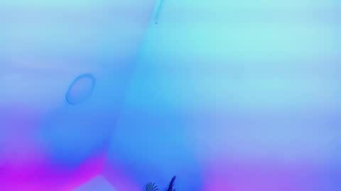 Snapshot of andrea_sexdollx chatting on 02-13-26, 08:38 ANDREINA online show from 02-13-26, 08:38