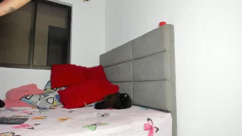 ANDREA online show from 05-01-26, 11:37