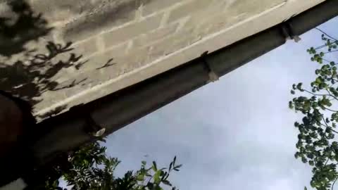 Snapshot of andrew_sanders_ chatting on 09-14-25, 08:30 andrew online show from 09-14-25, 08:30