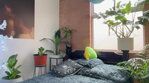 Andy online show from 02-05-26, 01:05