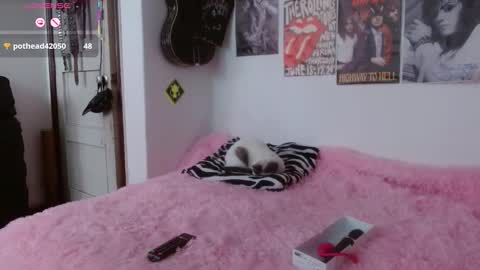 andy online show from 11-06-25, 02:29