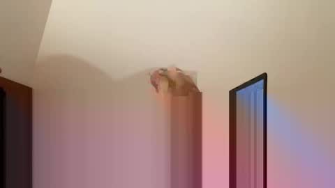 Snapshot of andysap chatting on 01-10-25, 01:09 andysap online show from 01-10-25, 01:09