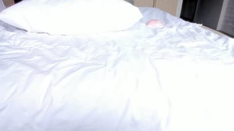 angel_andreww online show from 07-29-26, 06:33
