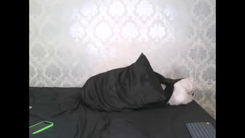 Angel Lein online show from 02-11-25, 07:59