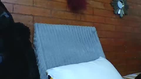  Angela  online show from 12-19-25, 07:10