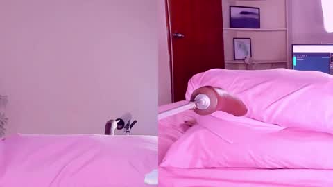 Angeli  online show from 02-18-25, 03:21