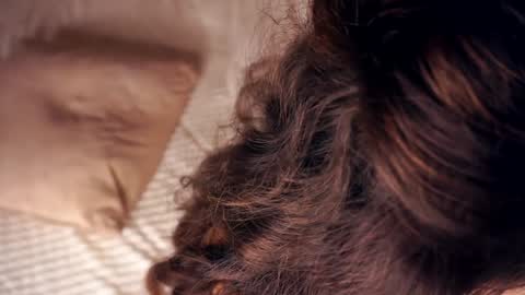 Snapshot of angelicapretybb chatting on 01-20-25, 10:40 Angelica online show from 01-20-25, 10:40