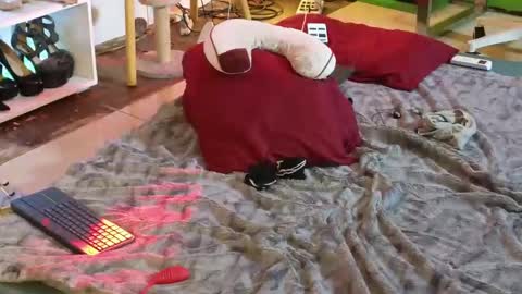 Snapshot of angelinasia chatting on 03-12-25, 04:51 Angel online show from 03-12-25, 04:51