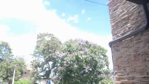 Angelmonstercock online show from 07-10-26, 04:31