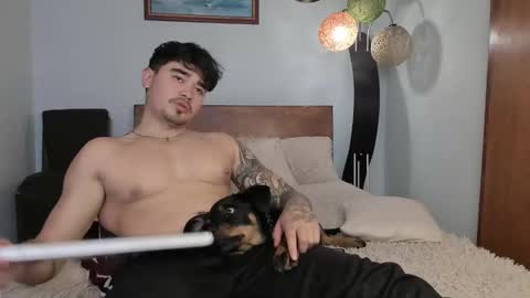 Angel Fox online show from 12-03-24, 06:17