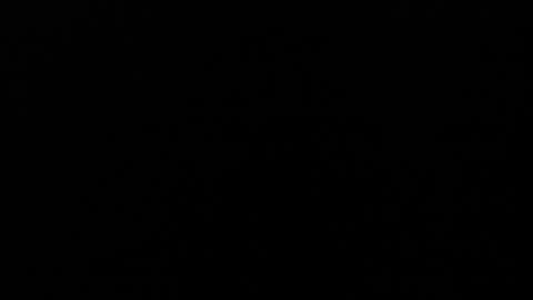 Angel Fox online show from 12-05-24, 03:37