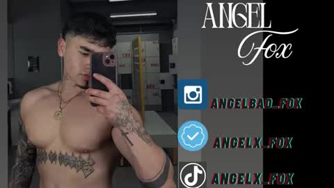 Angel Fox online show from 09-17-25, 06:59