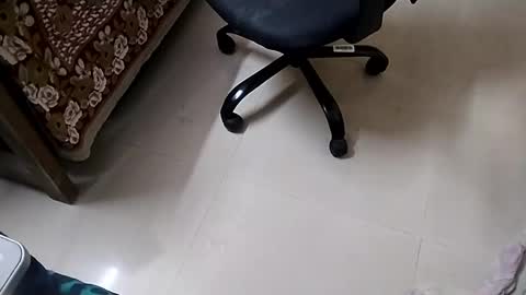 Tutu22 online show from 01-10-25, 11:39