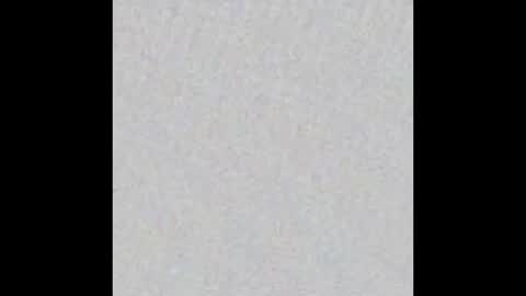 Maria online show from 12-02-25, 11:37