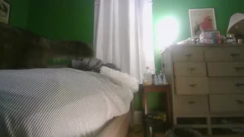 Snapshot of anilyseardor chatting on 02-15-26, 11:30 Ani online show from 02-15-26, 11:30