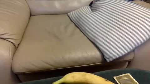 animal_michael online show from 12-21-24, 03:47