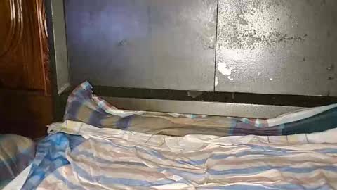 anis4551 online show from 01-12-26, 08:14