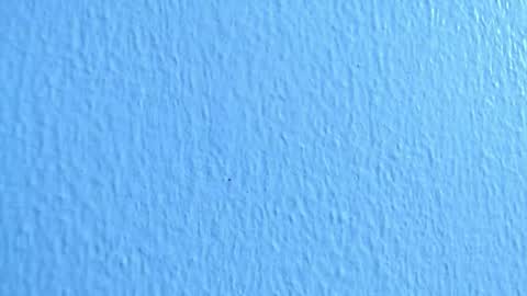 ana independent model online show from 12-02-24, 07:03