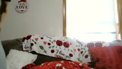 Snapshot of anne12369 chatting on 01-05-26, 05:49 anne online show from 01-05-26, 05:49