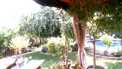 anoaklawnguy online show from 07-26-26, 03:30