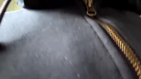 anonomousloser online show from 01-06-25, 02:36