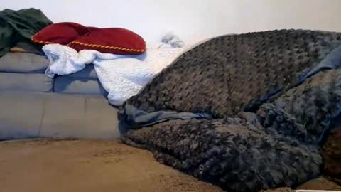 anonymousex15 online show from 11-30-25, 12:42