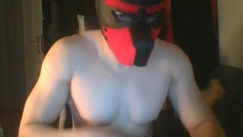 Snapshot of anonymousguy68_cam chatting on 09-12-25, 11:37 Anonymousguy online show from 09-12-25, 11:37
