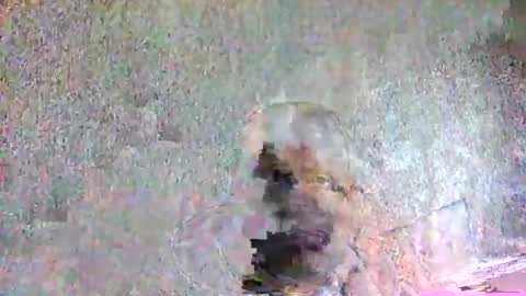 Snapshot of ansem1143 chatting on 04-05-26, 02:14 ansem1143 online show from 04-05-26, 02:14