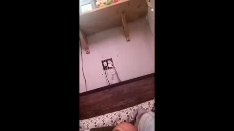 Snapshot of anthony9168 chatting on 03-25-26, 11:22 anthony9168 online show from 03-25-26, 11:22