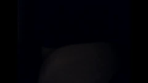 Snapshot of antxon12 chatting on 10-13-25, 10:54 antxon12 online show from 10-13-25, 10:54