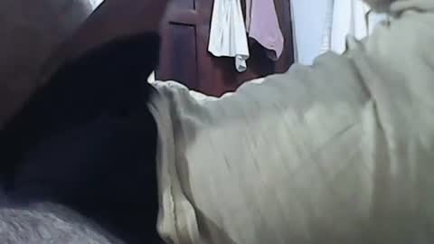 Snapshot of anupam373 chatting on 01-20-25, 02:11 anupam373 online show from 01-20-25, 02:11