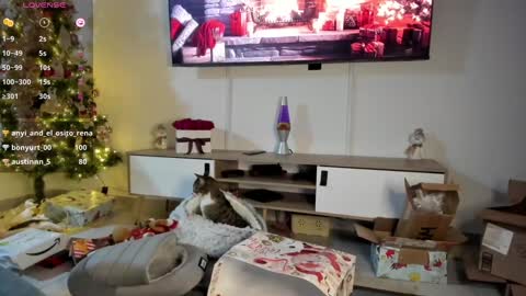 Snapshot of anyi_1 chatting on 01-07-25, 03:24 Anyi Orion and Pyxis online show from 01-07-25, 03:24