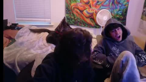 ApacheWithWebcam online show from 04-25-26, 11:57