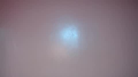 apple2561 online show from 05-12-26, 03:42