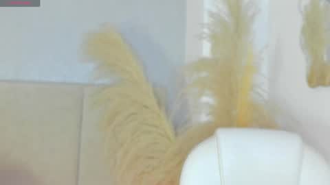 April online show from 04-29-26, 10:41