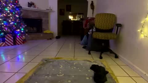 AnnaApril420 online show from 12-25-24, 01:10