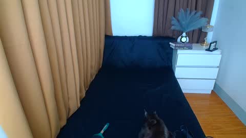 ARABELLA online show from 03-09-25, 12:21