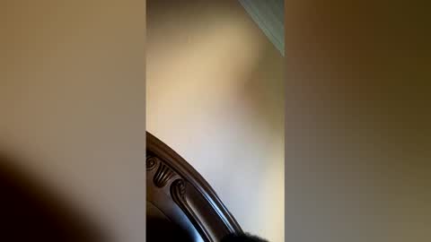 arab twink online show from 05-27-26, 01:30