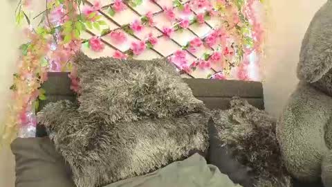 aria_silk online show from 06-28-26, 02:23