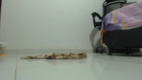 Snapshot of ariadna_6 chatting on 01-29-25, 06:18 ...Ariana... online show from 01-29-25, 06:18