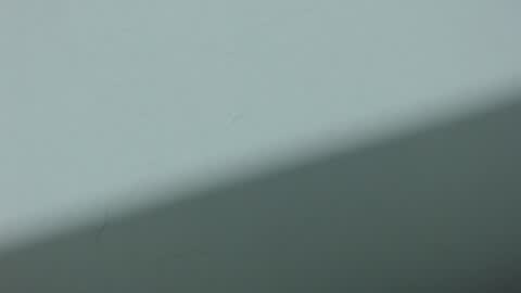 Snapshot of ariadna_6 chatting on 10-20-25, 03:29 ...Ariana... online show from 10-20-25, 03:29