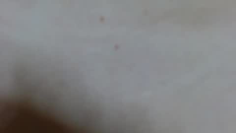 Ariana lvarez online show from 02-02-25, 04:15