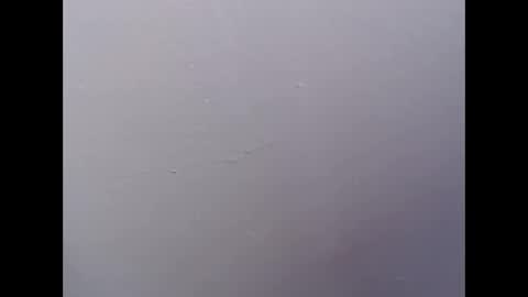 ariannaloovel online show from 04-27-26, 05:55