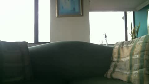 Snapshot of arielsinho chatting on 03-02-25, 09:54 Anon online show from 03-02-25, 09:54