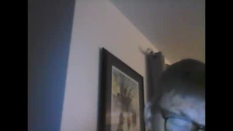 ariens online show from 01-14-25, 06:45