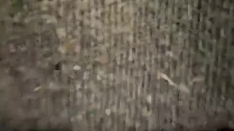 airskiii online show from 01-06-25, 04:26