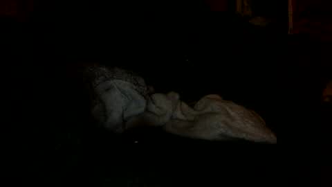 arley1966 online show from 11-04-25, 02:43