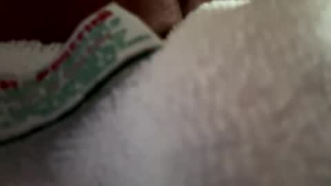 Snapshot of arley1966 chatting on 04-02-26, 11:46 arley1966 online show from 04-02-26, 11:46