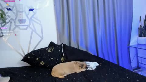 Snapshot of aron_santoro1 chatting on 01-12-25, 04:31 Aron Santoro online show from 01-12-25, 04:31