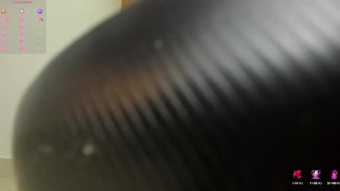 Snapshot of arya_ruiz chatting on 12-30-24, 03:24 Arya online show from 12-30-24, 03:24